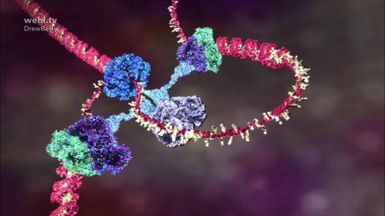 recommendation image