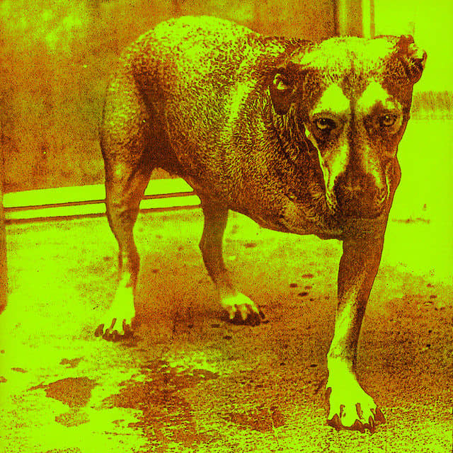 recommendation image