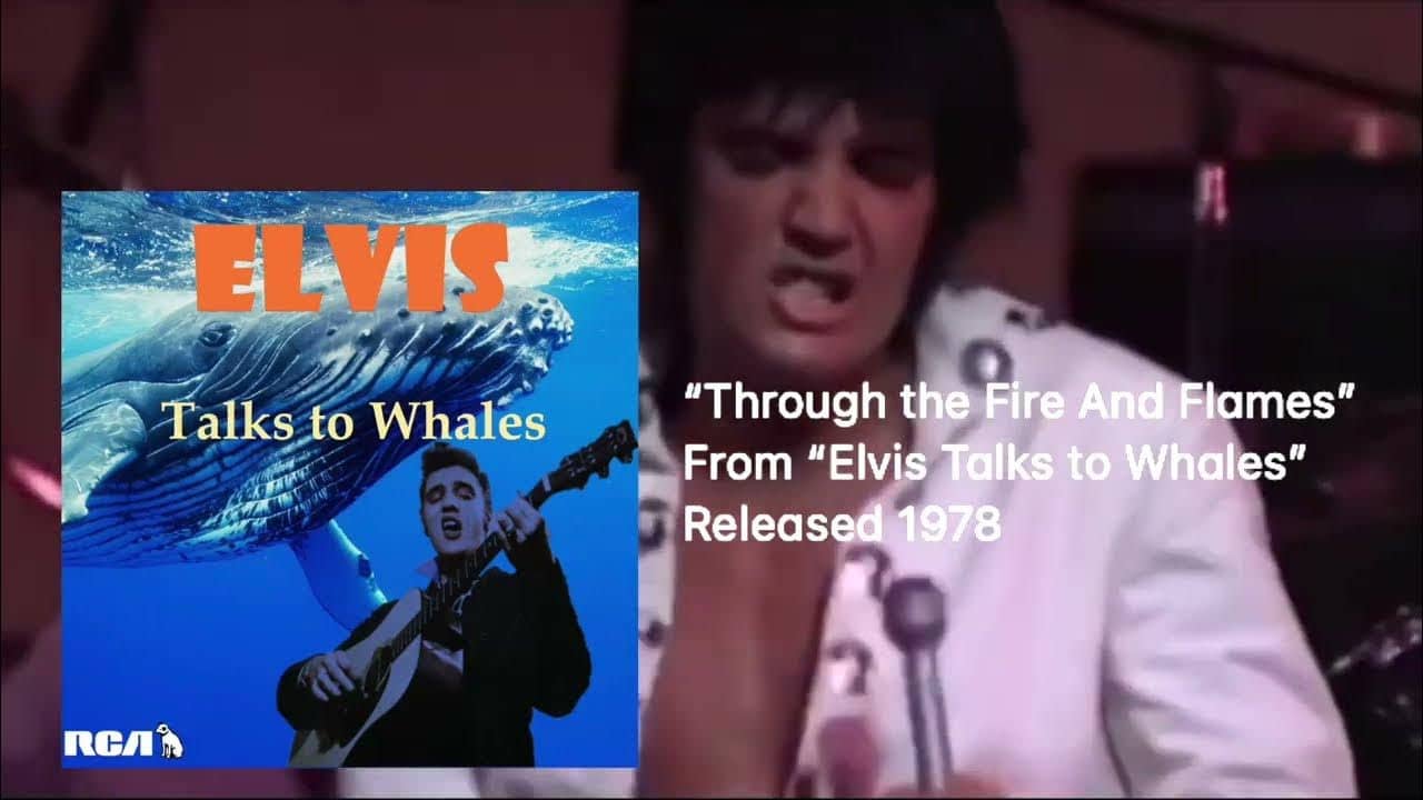 recommendation image