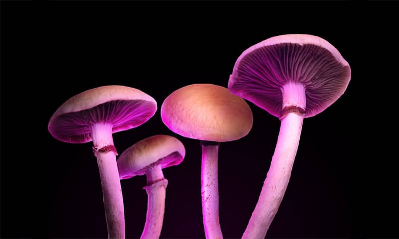 recommendation image