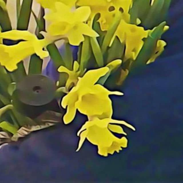 recommendation image