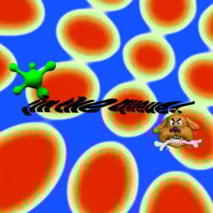 recommendation image