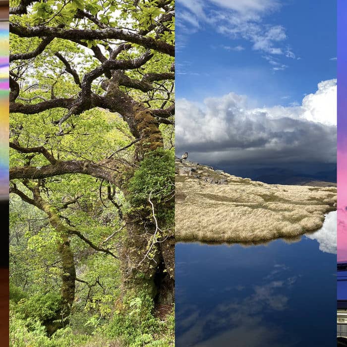 recommendation image