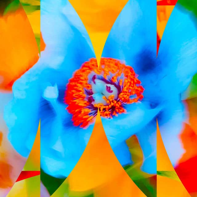 recommendation image