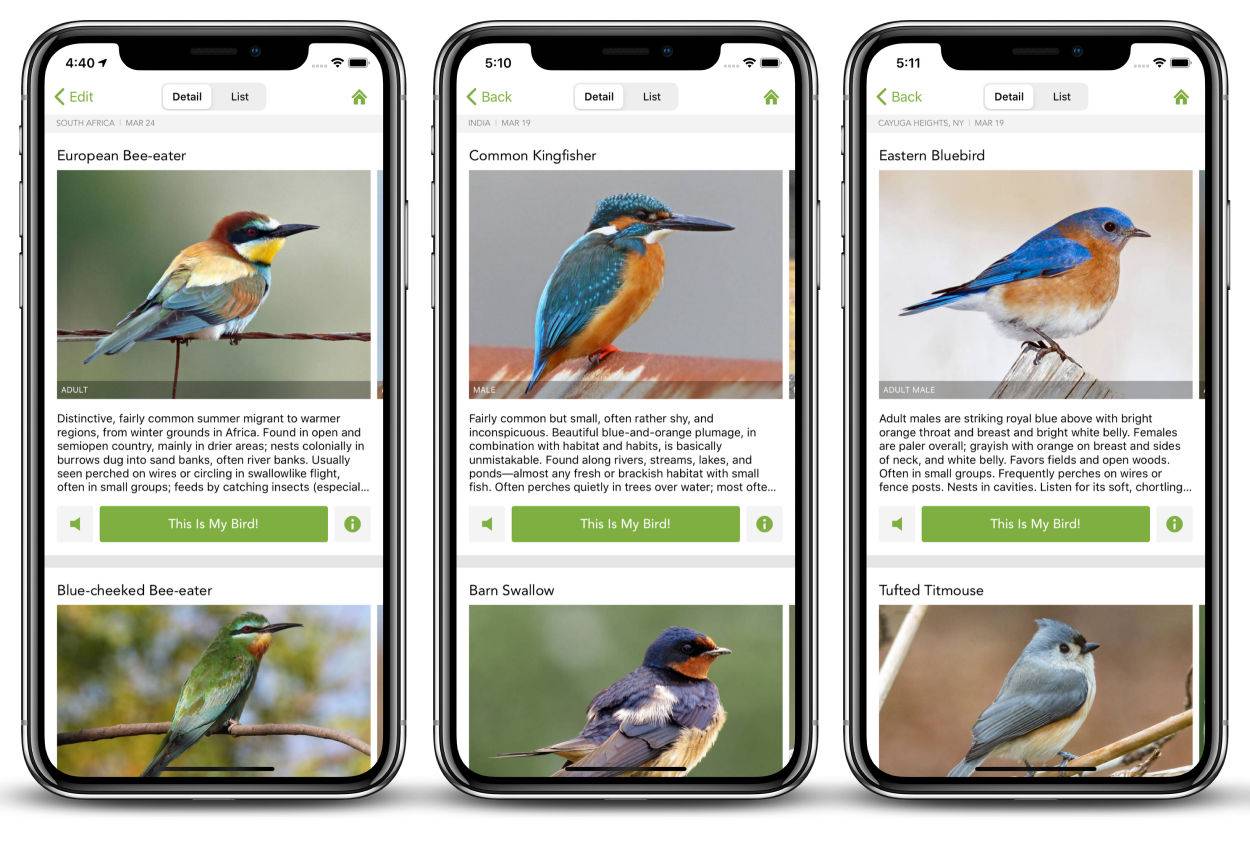 recommendation image