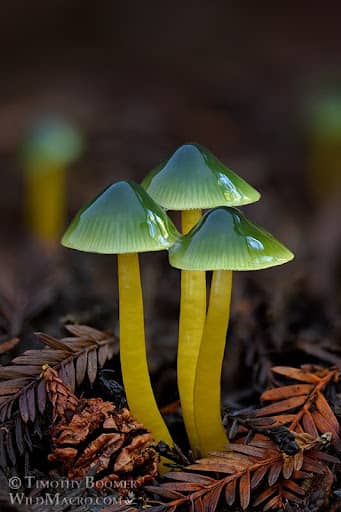 recommendation image