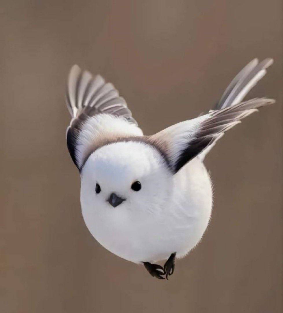 recommendation image