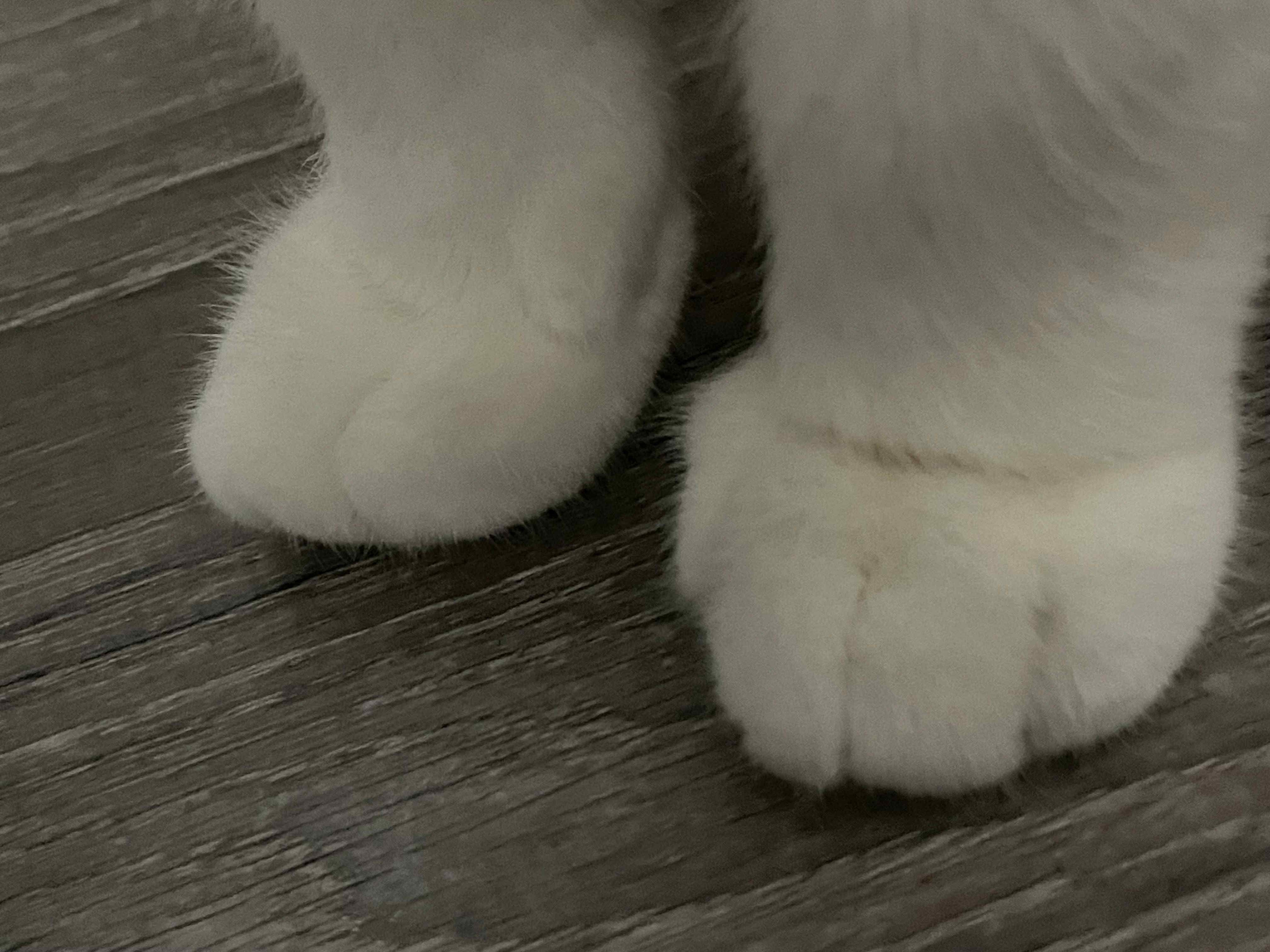 recommendation image
