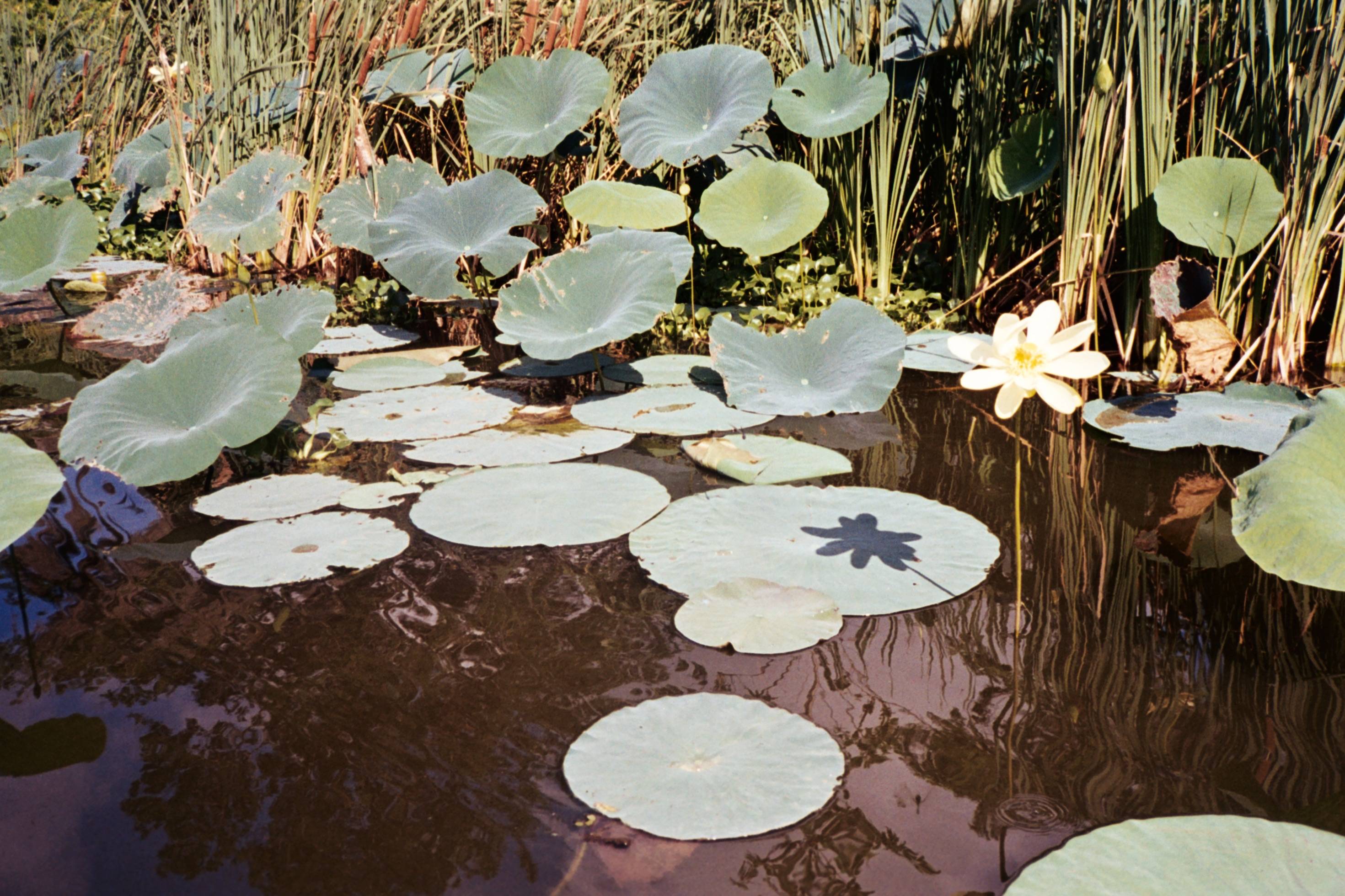 recommendation image