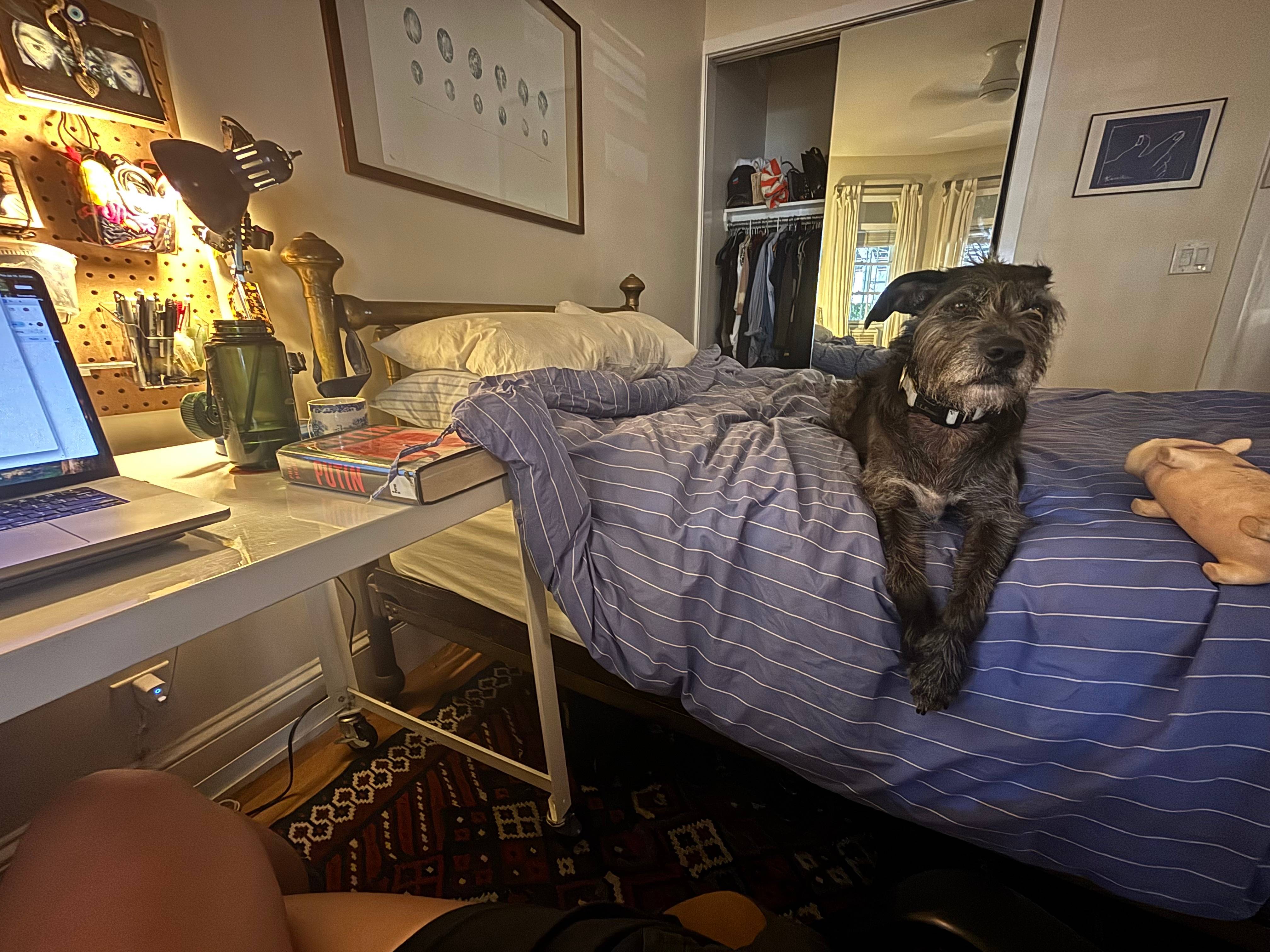 recommendation image