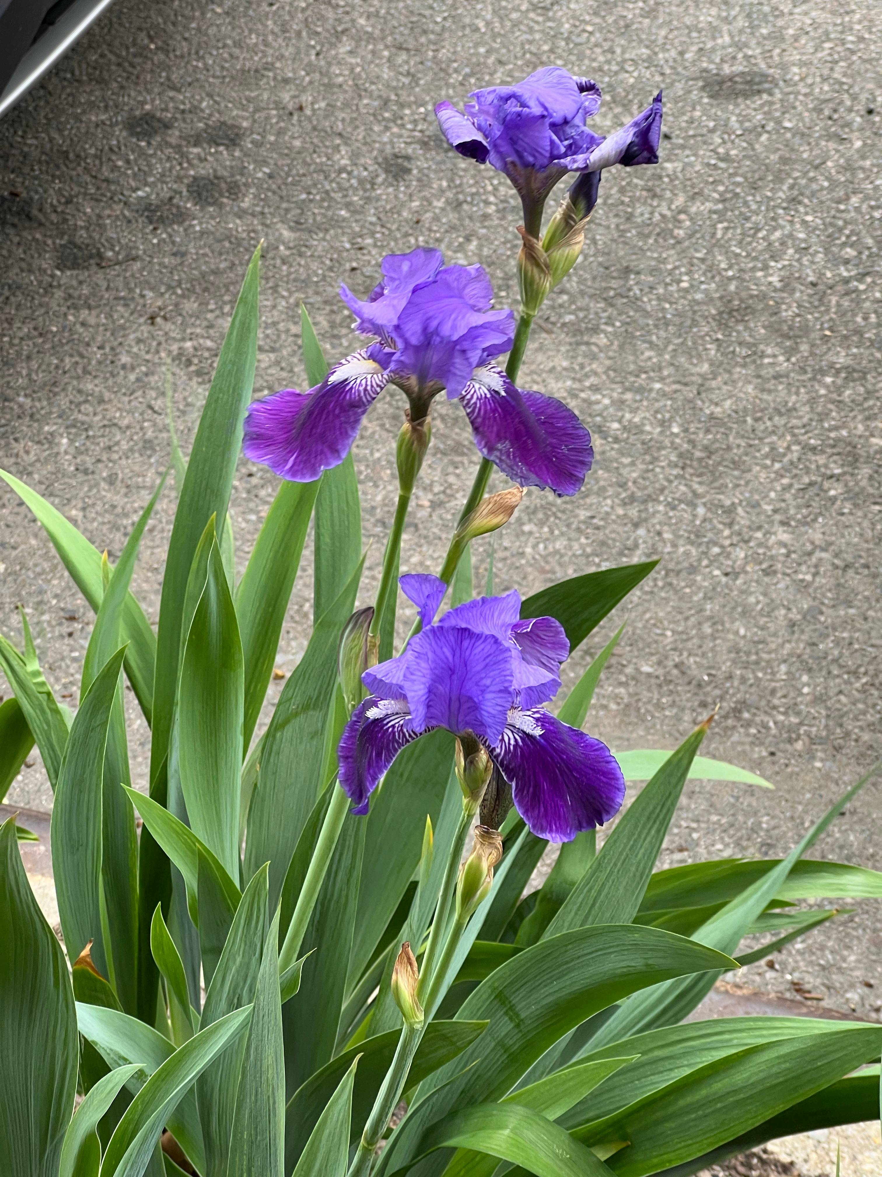recommendation image