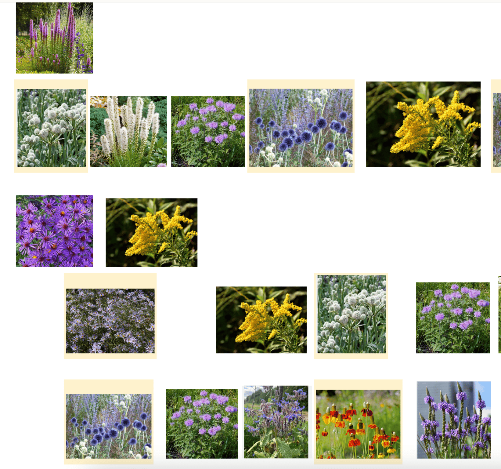 recommendation image