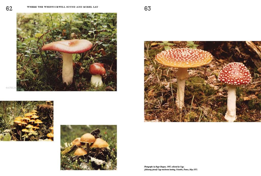 recommendation image