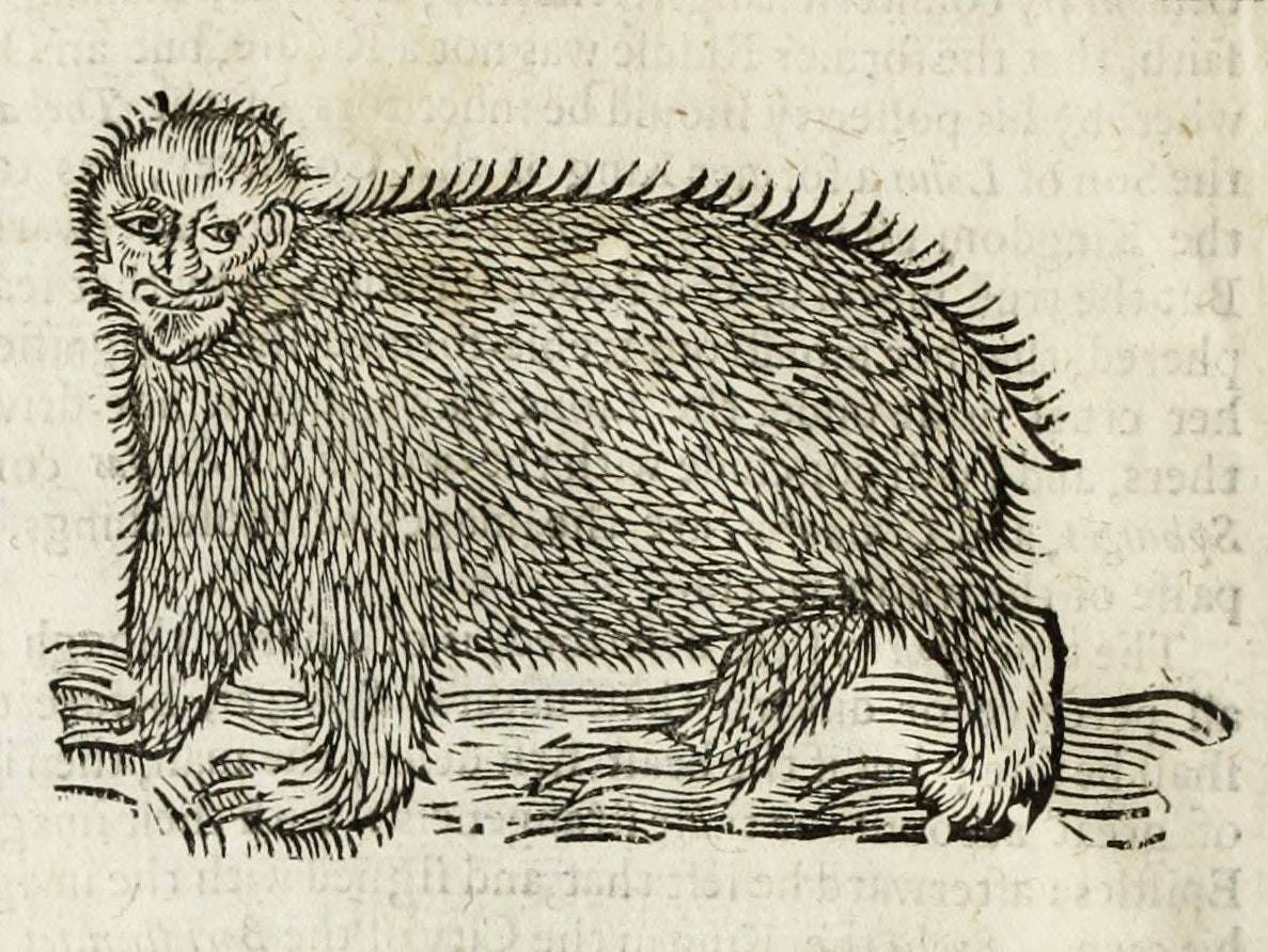 recommendation image