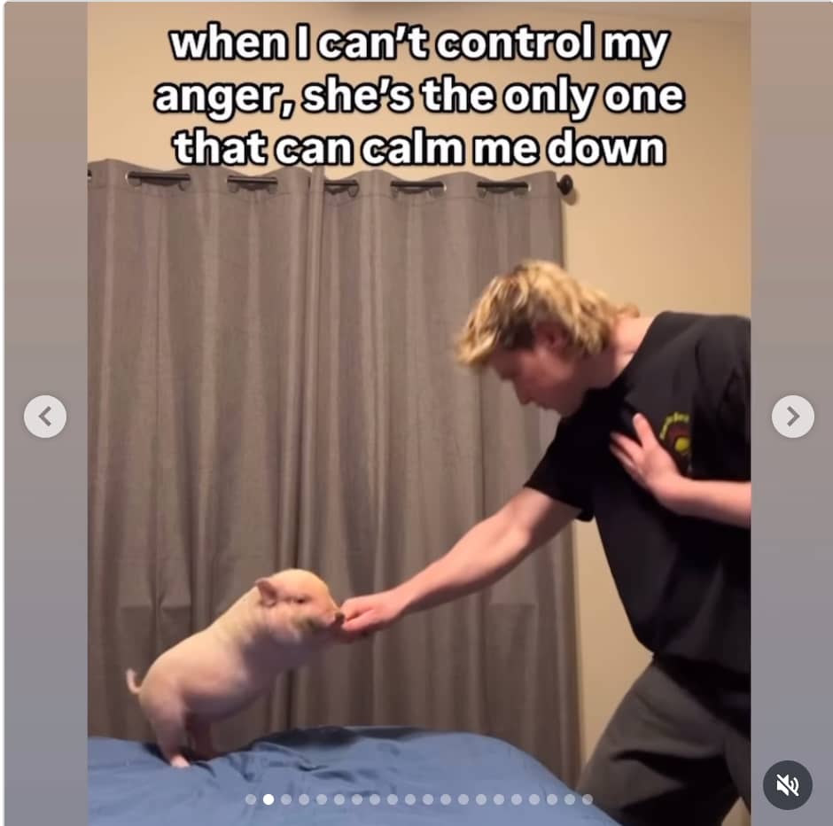 recommendation image