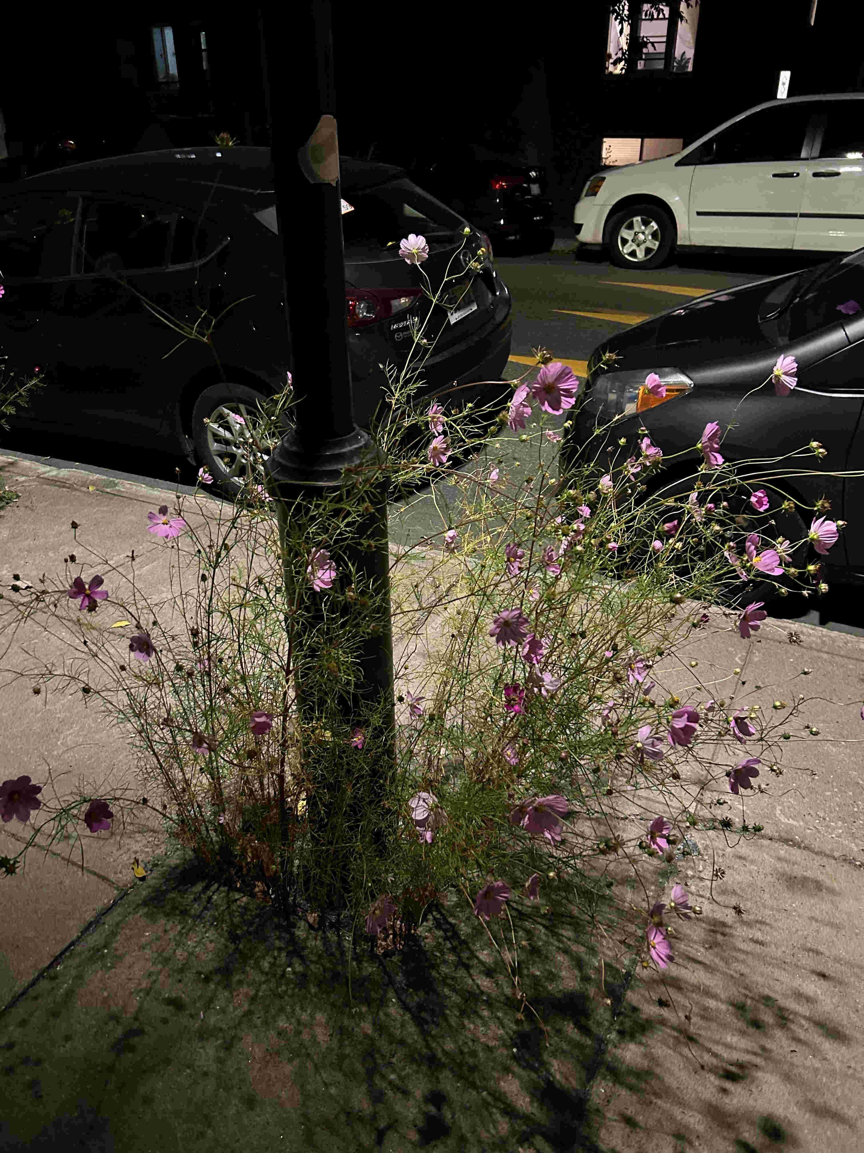 recommendation image