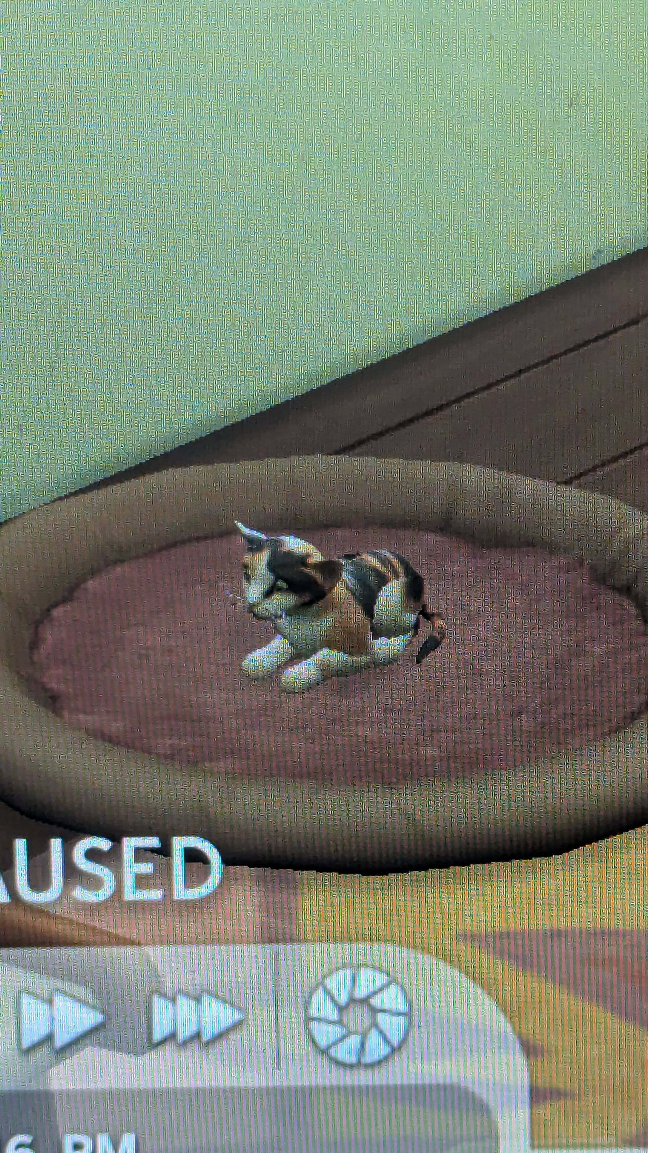 recommendation image