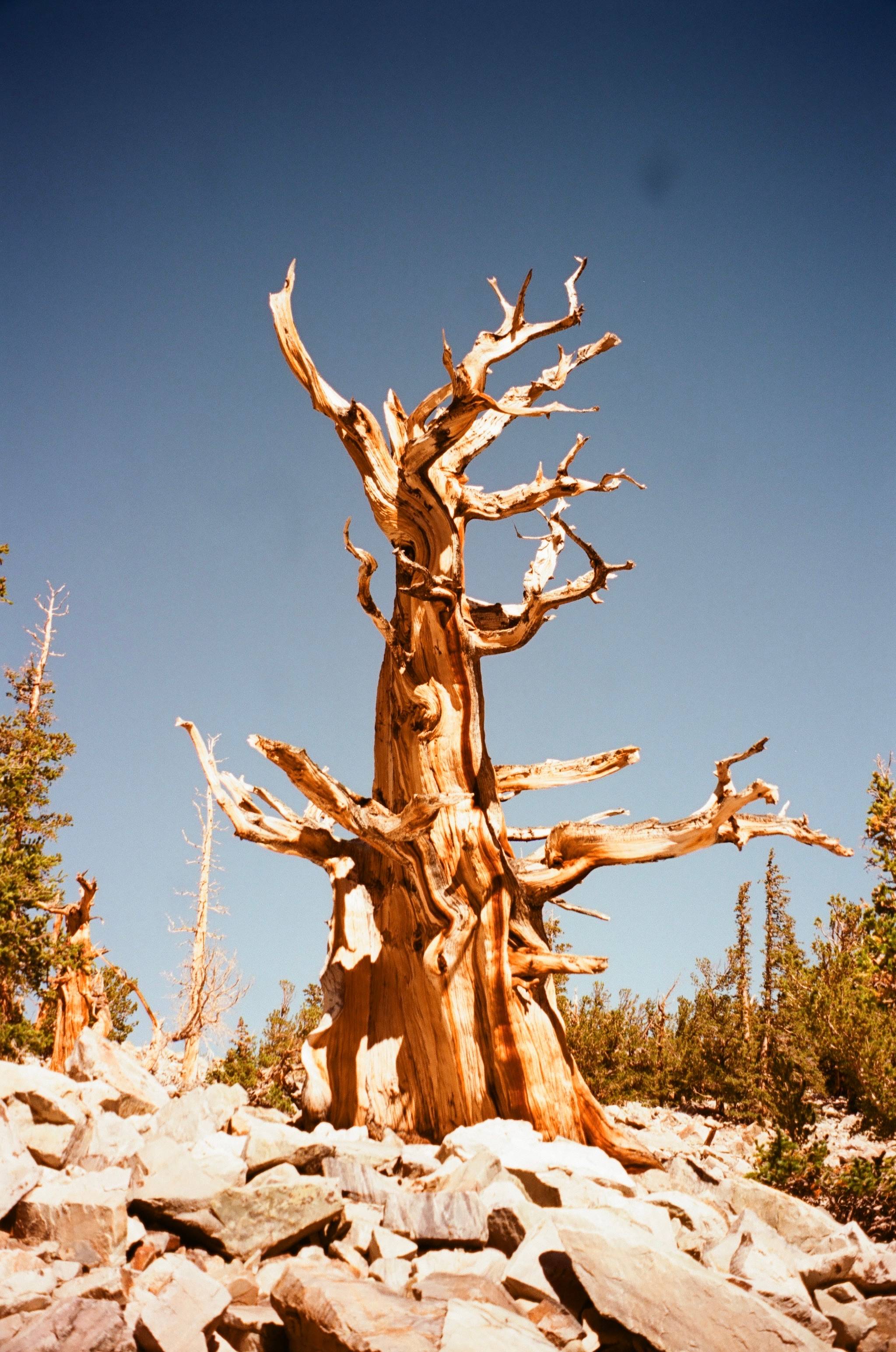recommendation image