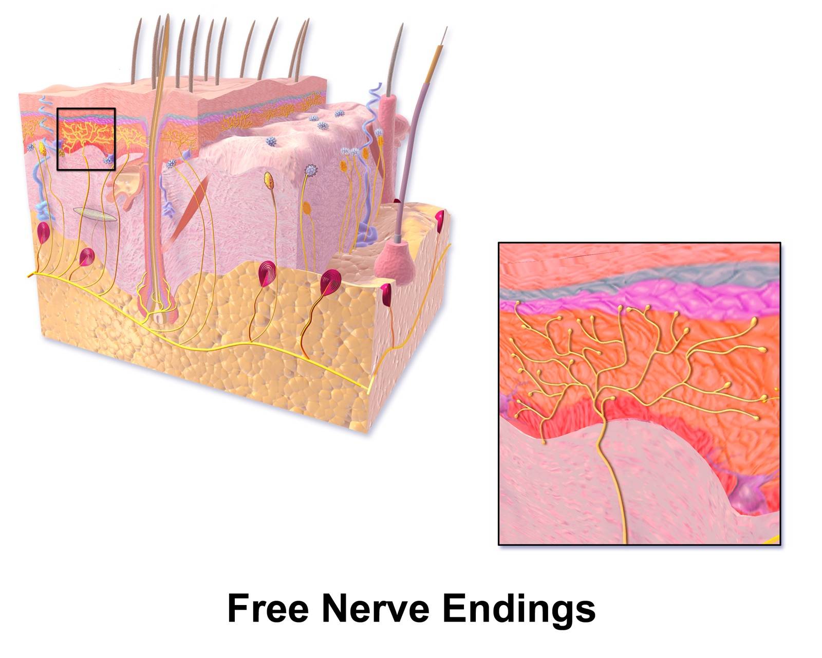 recommendation image