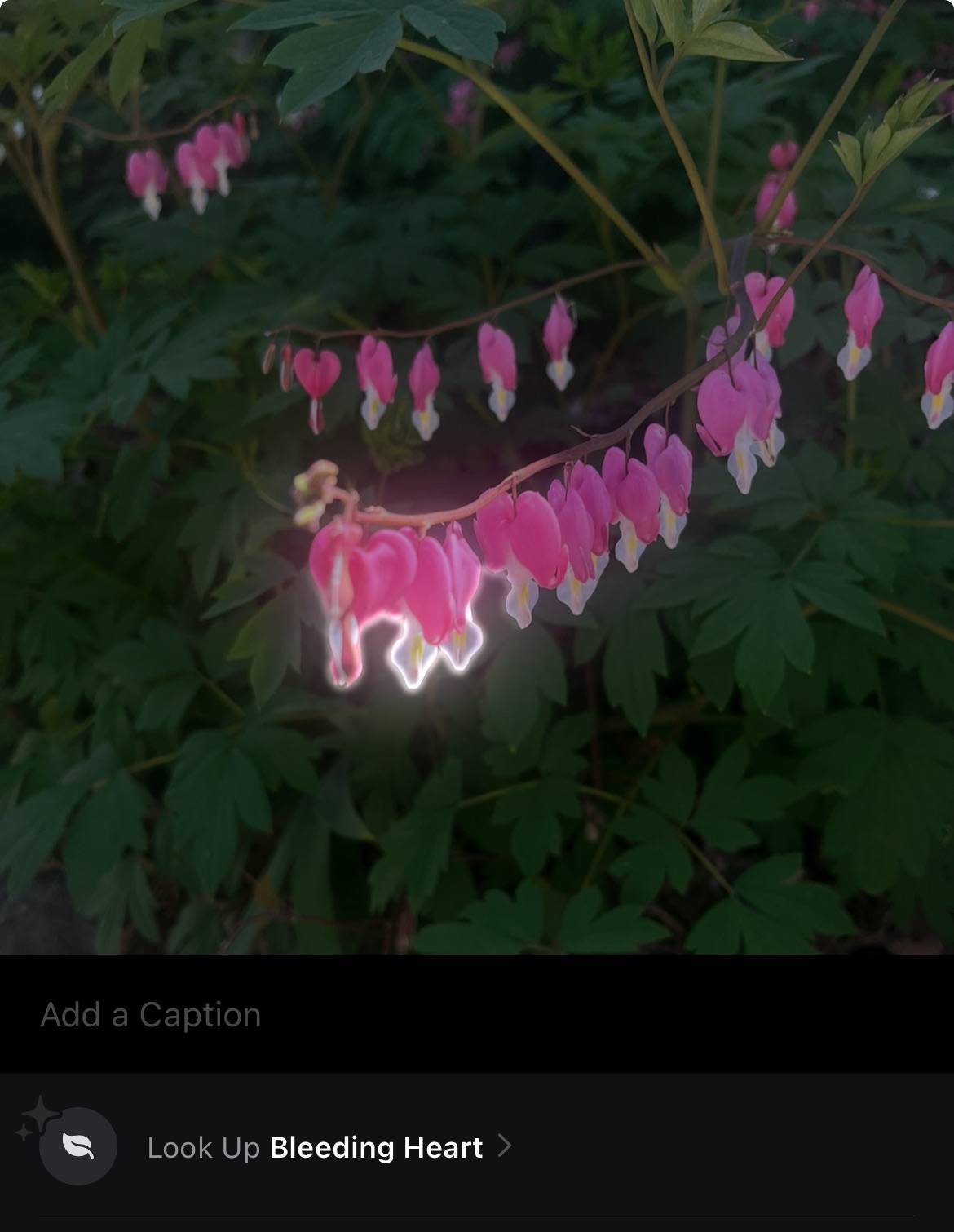 recommendation image