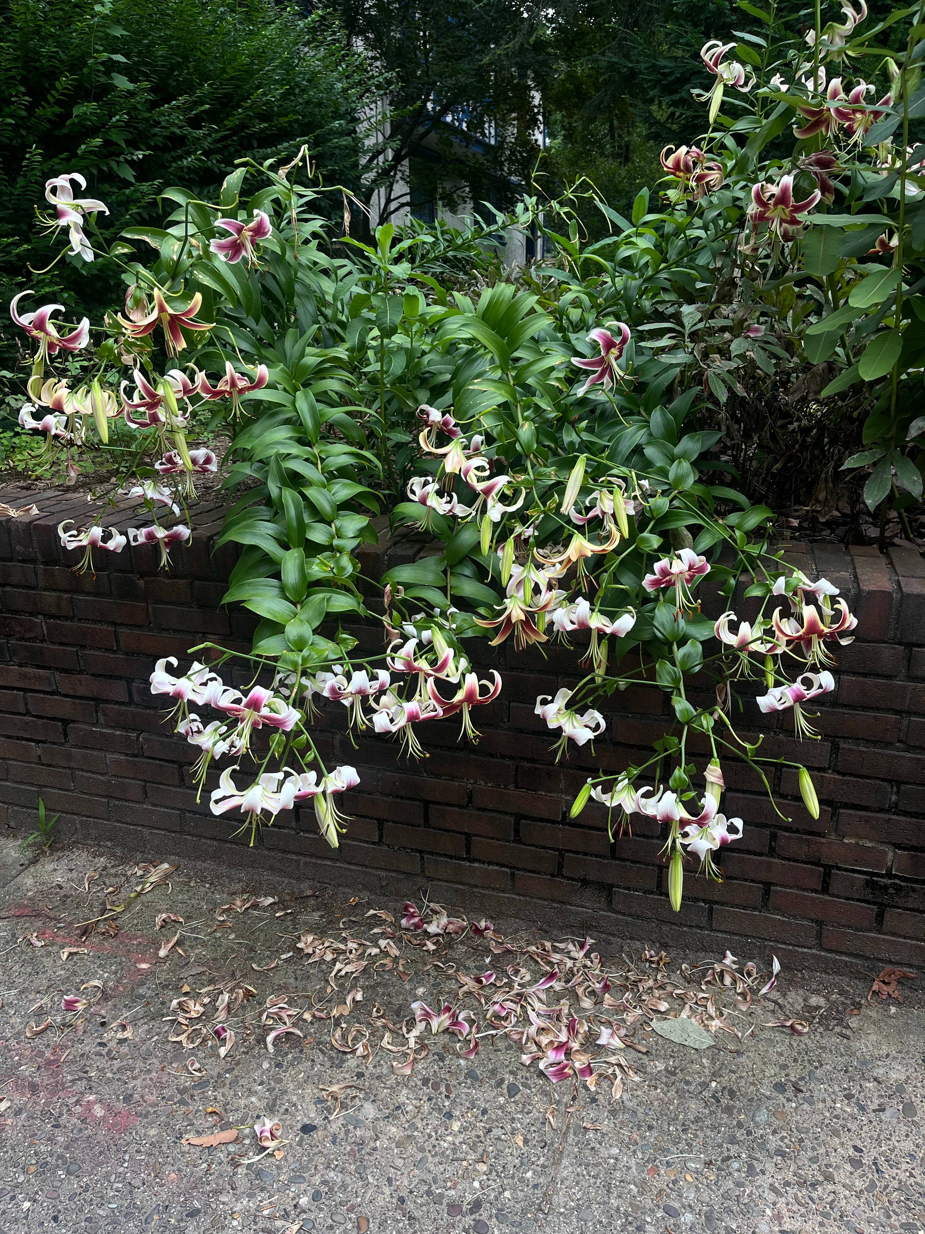 recommendation image