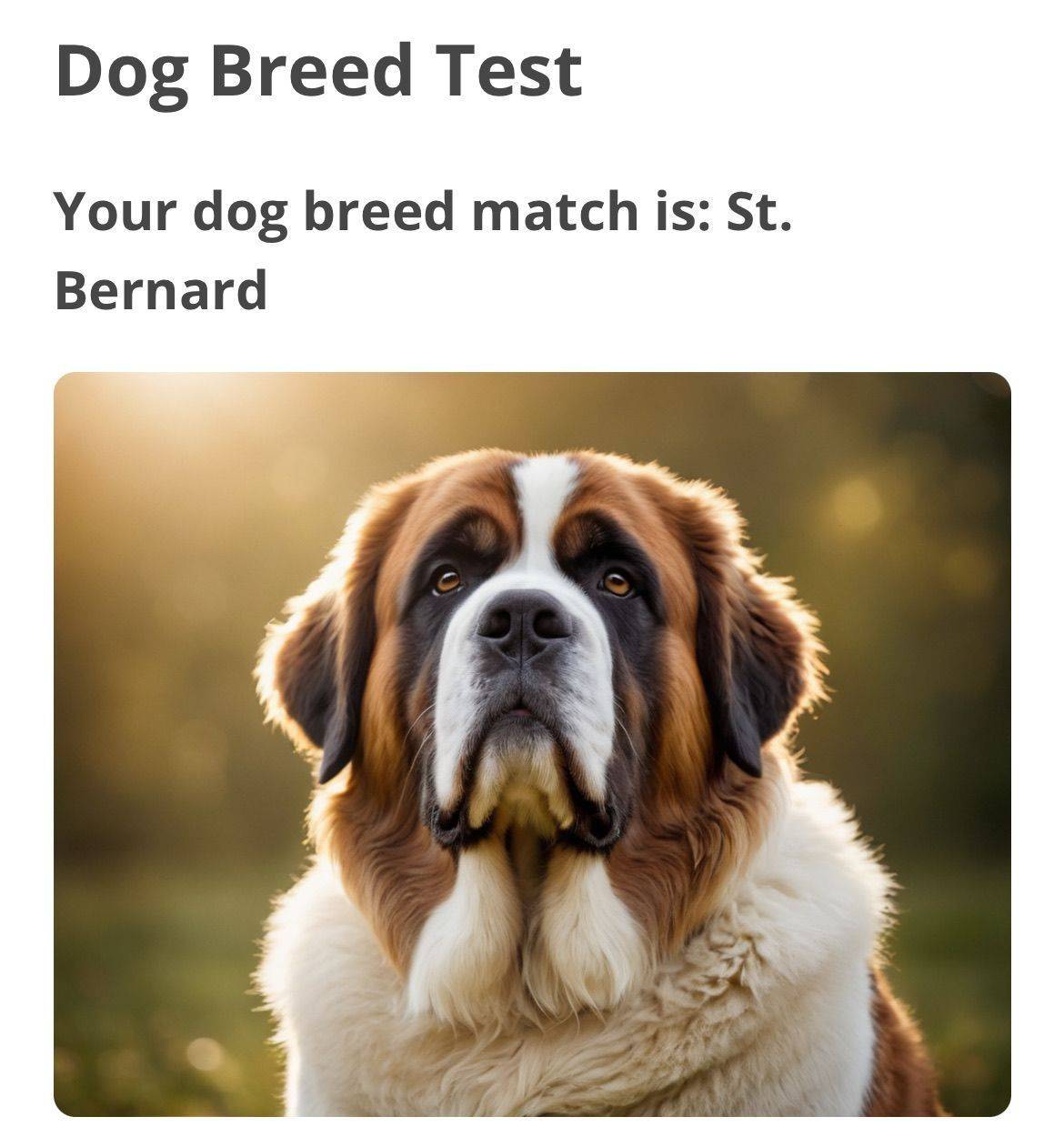 recommendation image