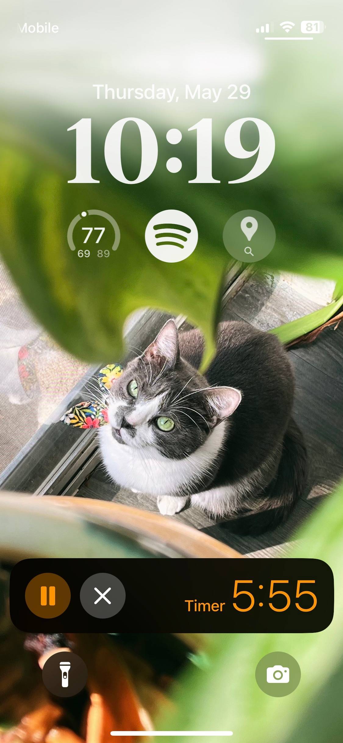 recommendation image