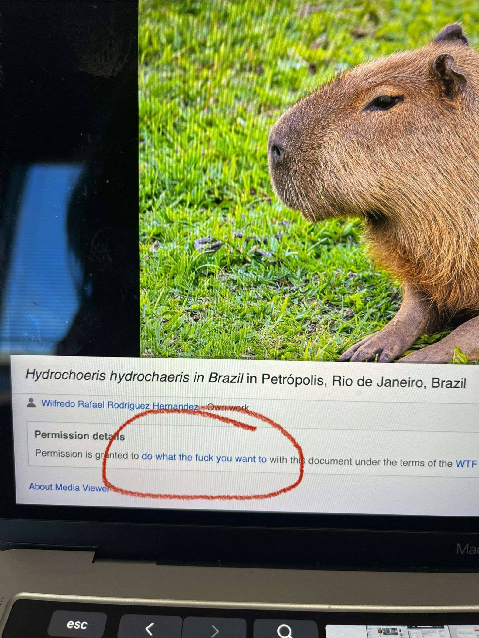 recommendation image