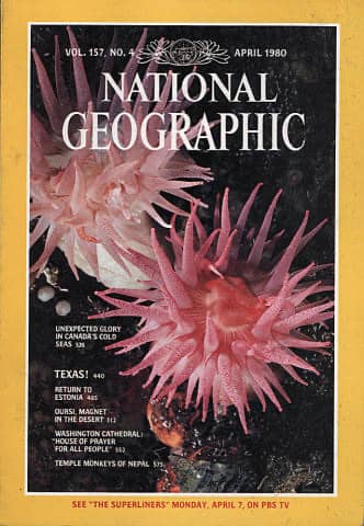 recommendation image