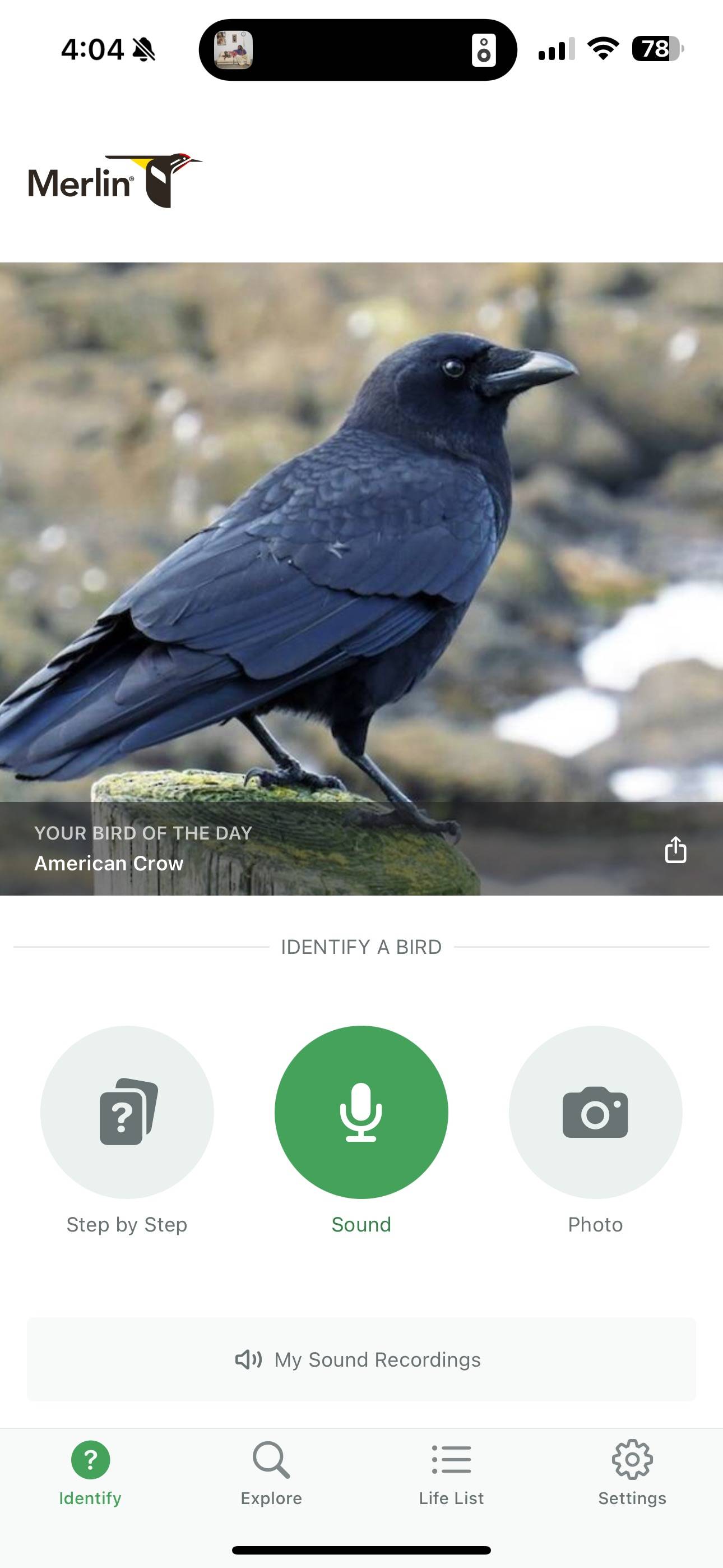 recommendation image