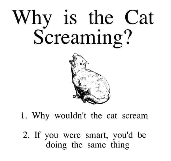 recommendation image