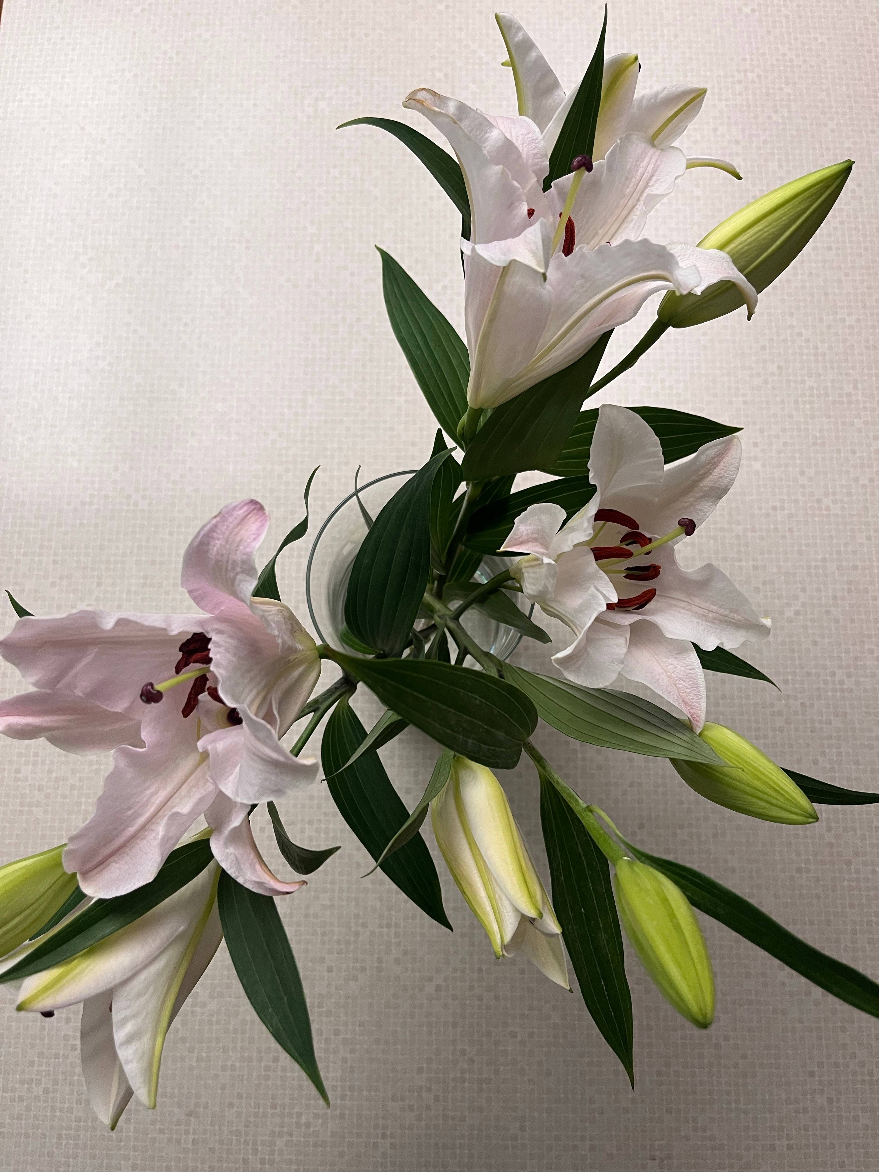 recommendation image