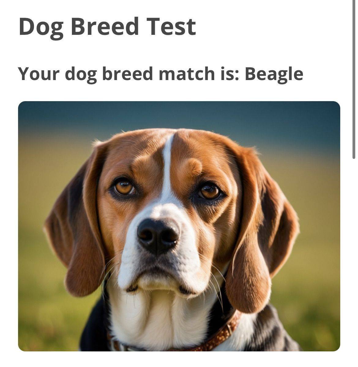 recommendation image