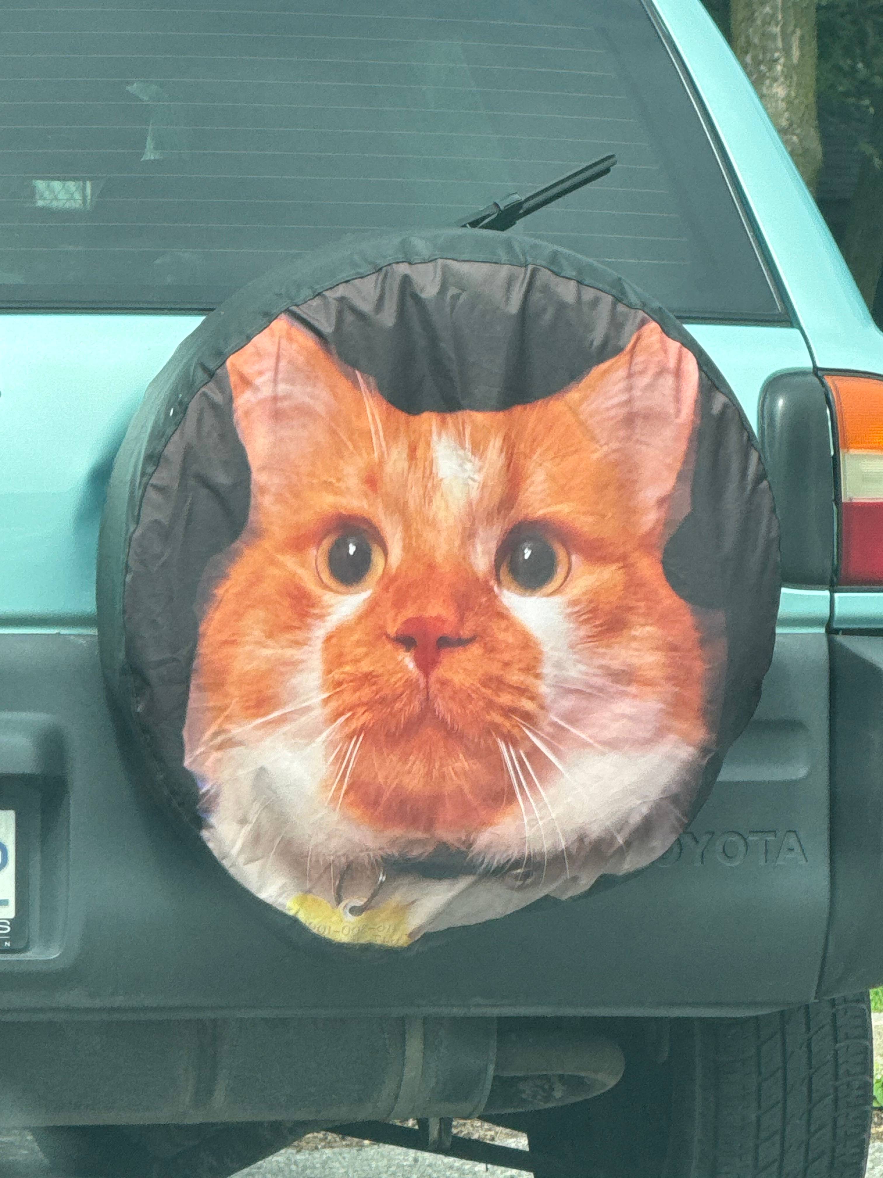 recommendation image