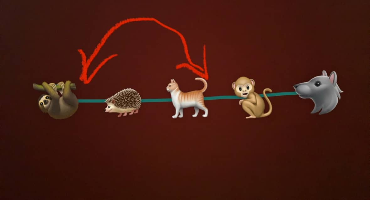 recommendation image