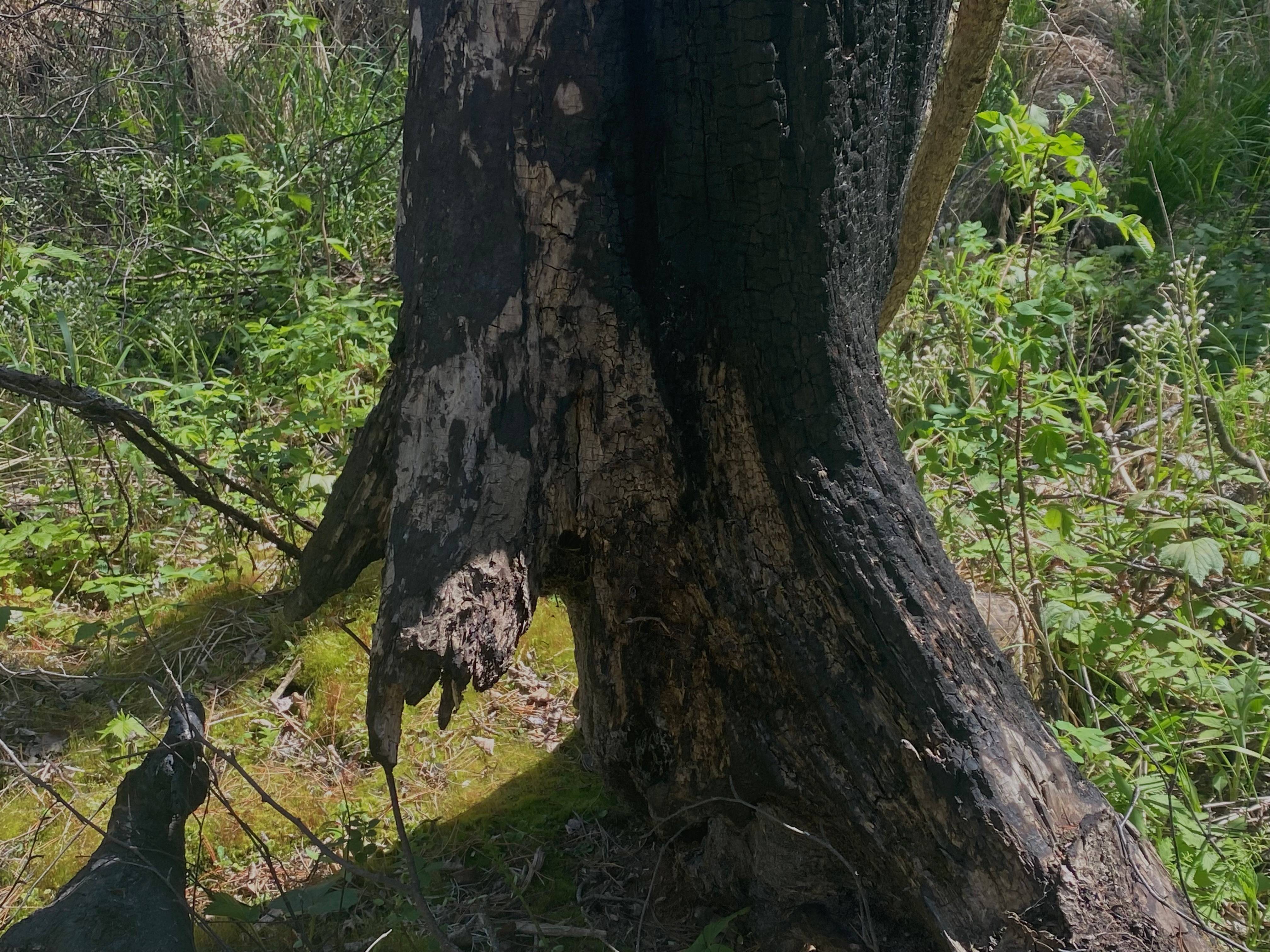 recommendation image