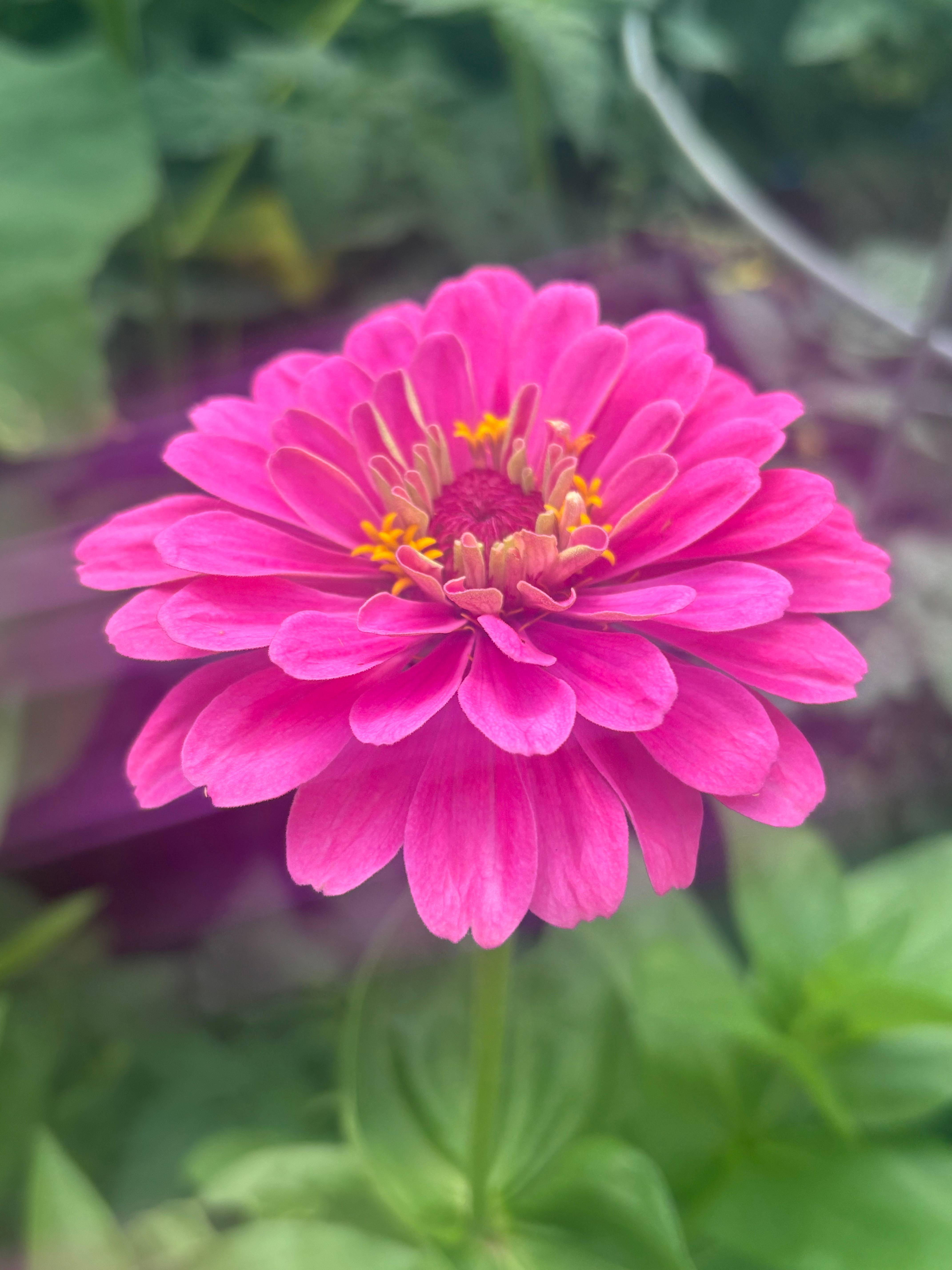 recommendation image