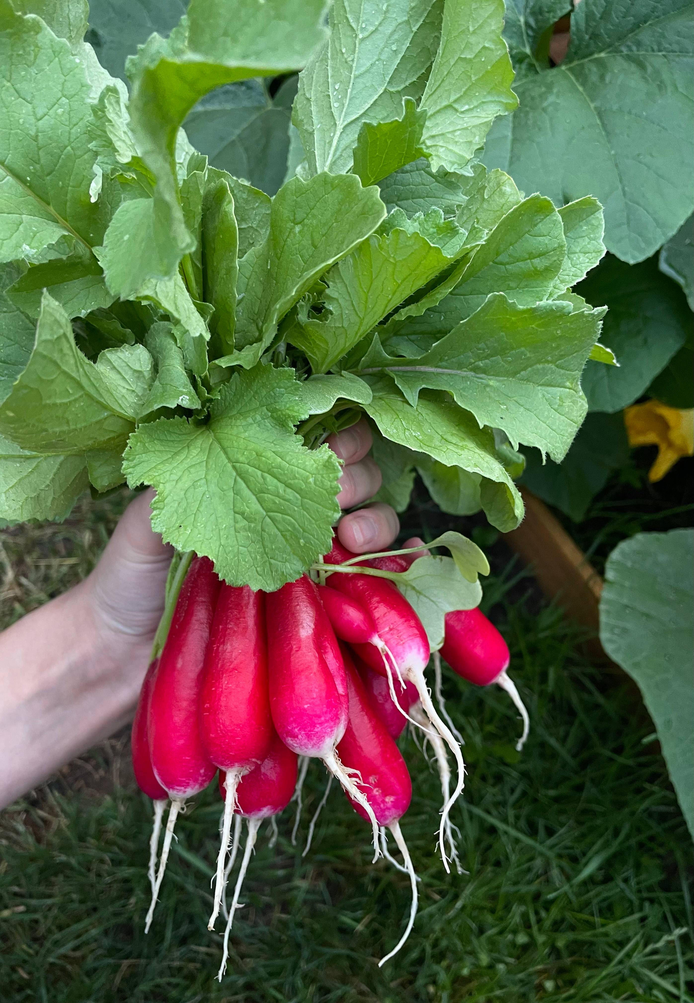 recommendation image