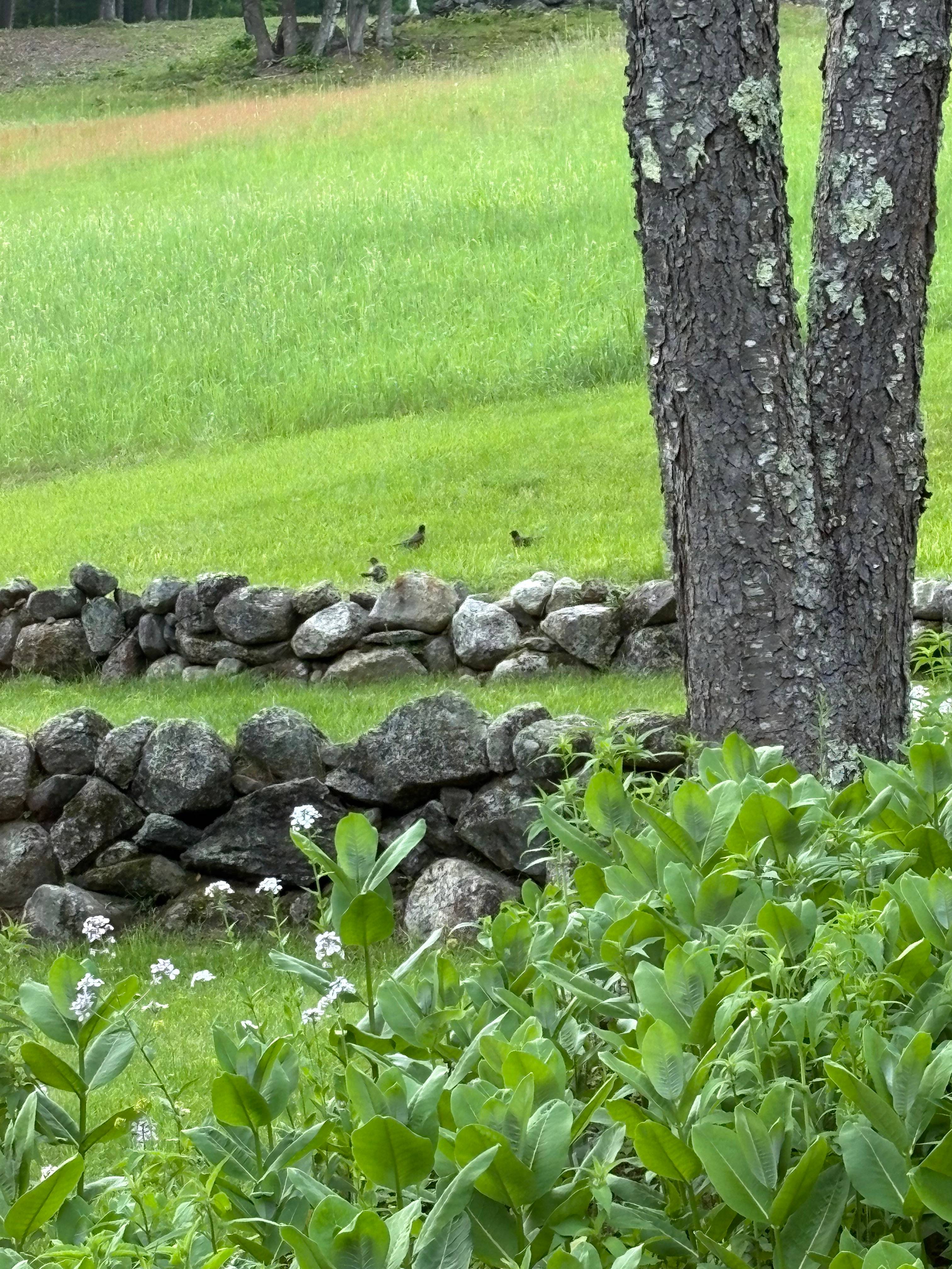 recommendation image