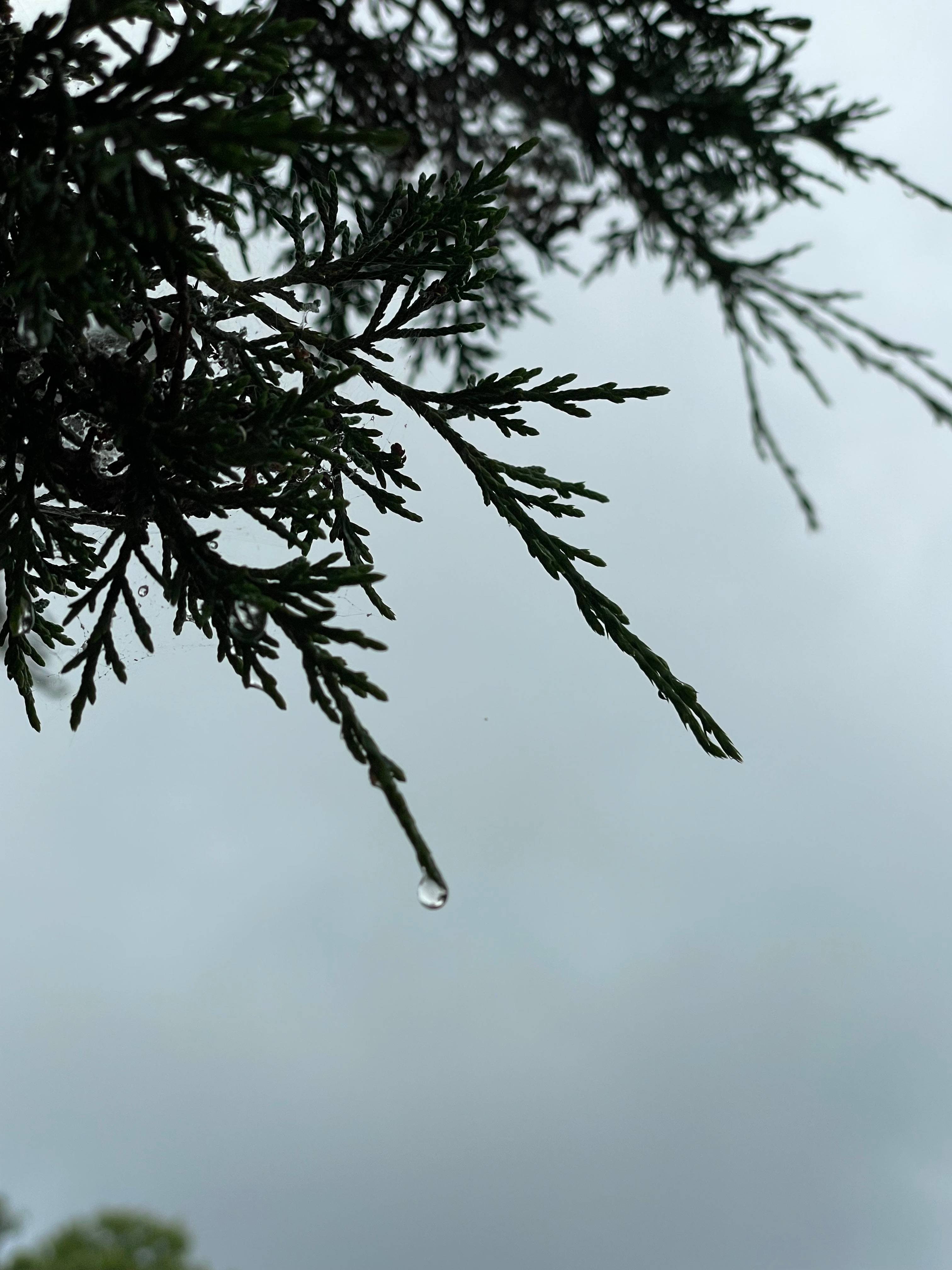 recommendation image