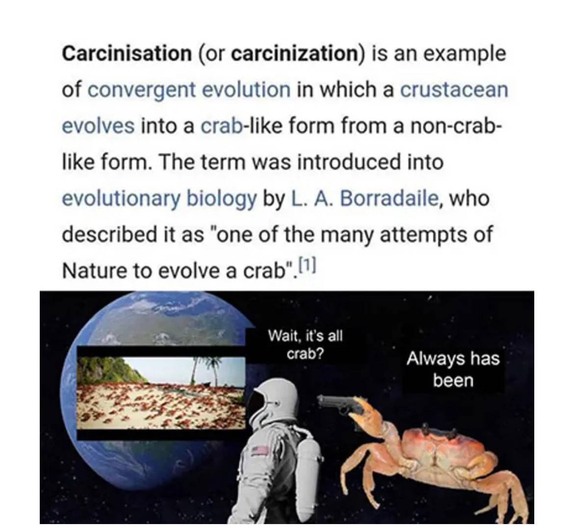 recommendation image