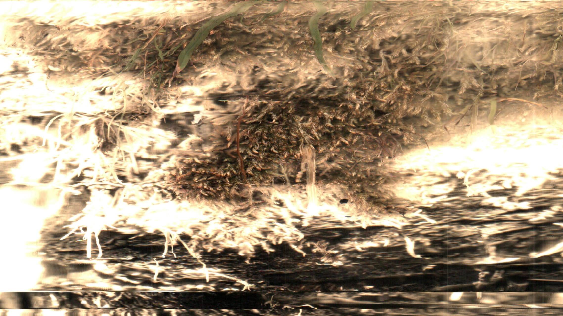 recommendation image
