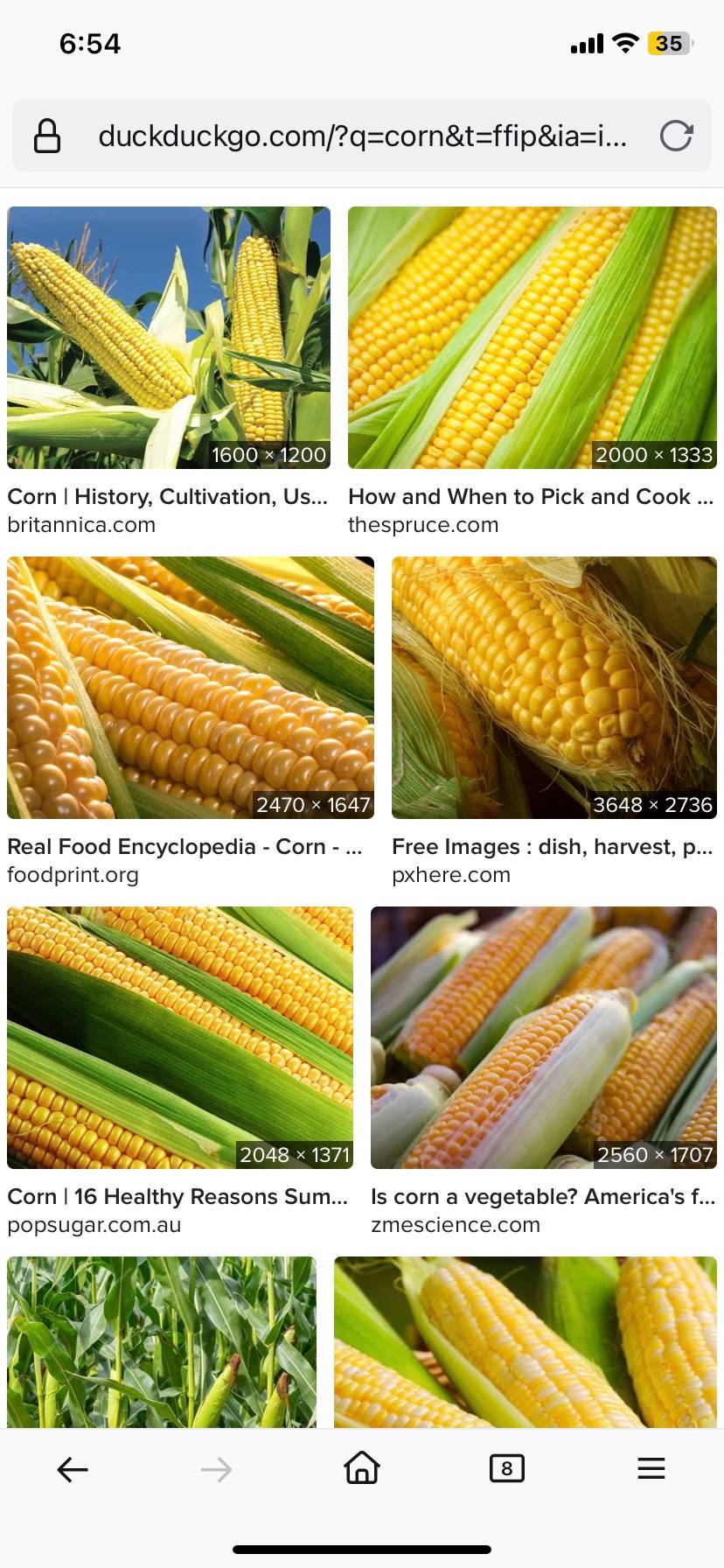 recommendation image
