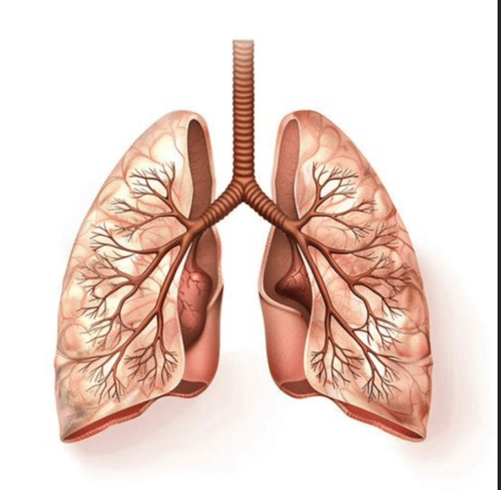 recommendation image