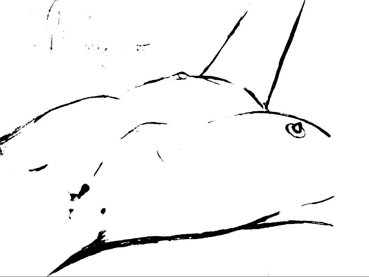 recommendation image
