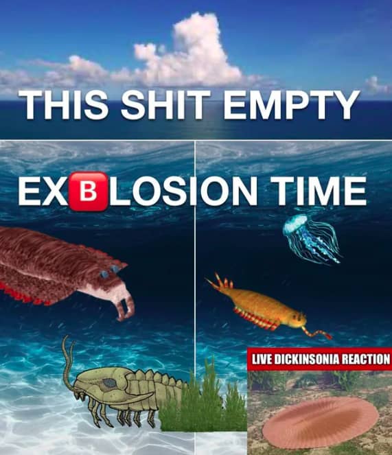 recommendation image