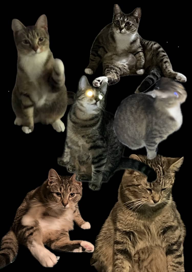 recommendation image