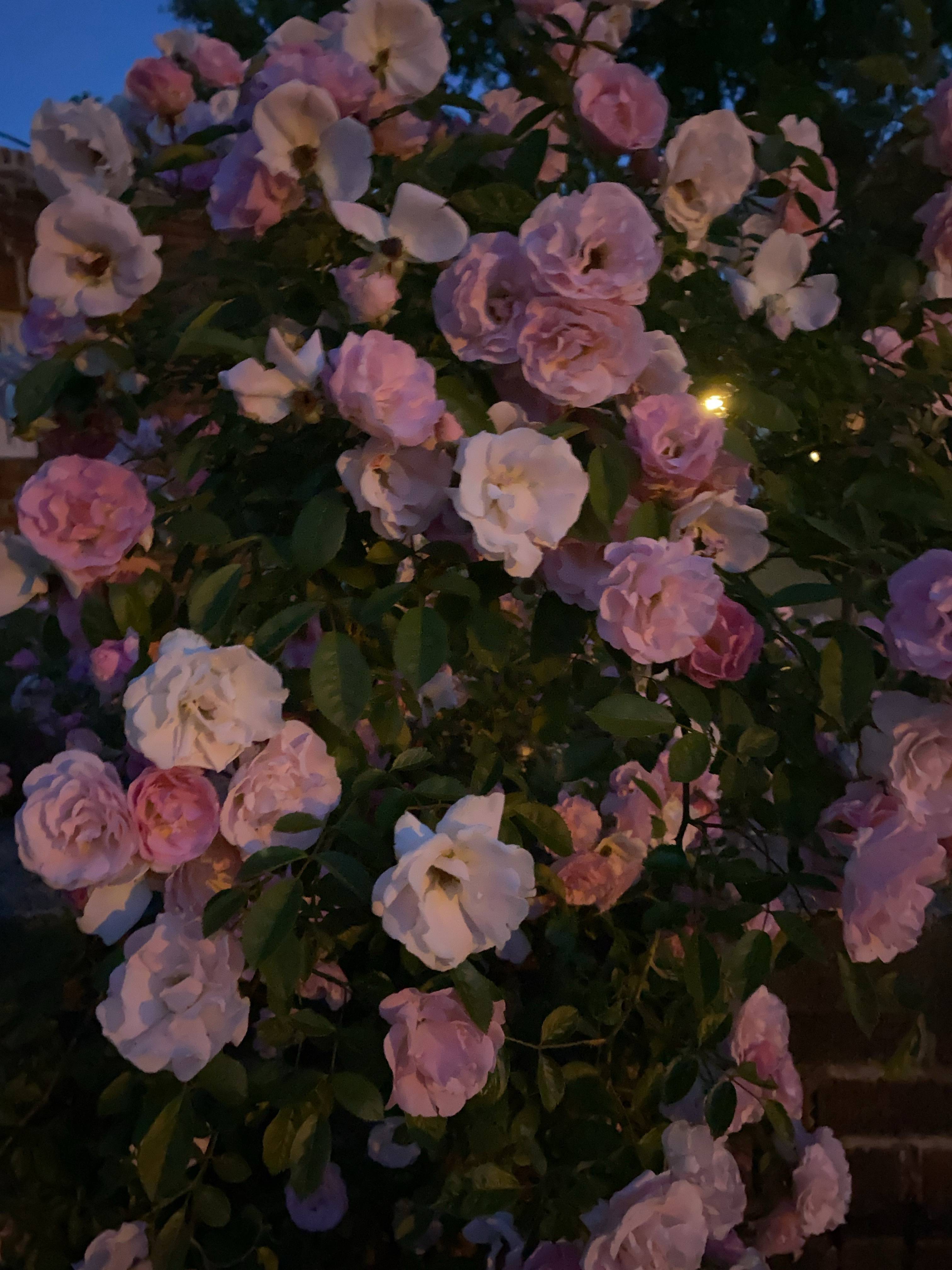 recommendation image