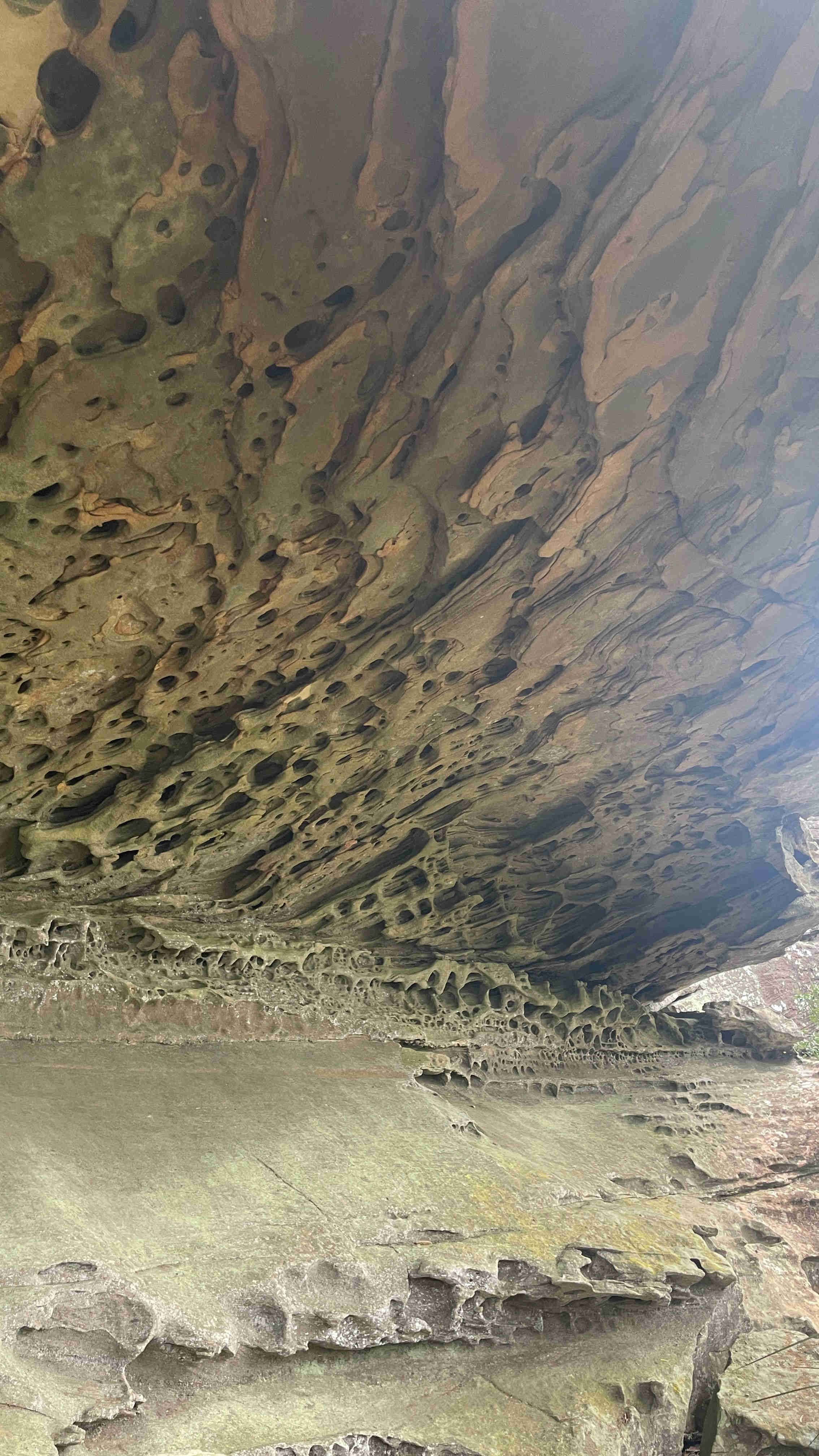 recommendation image