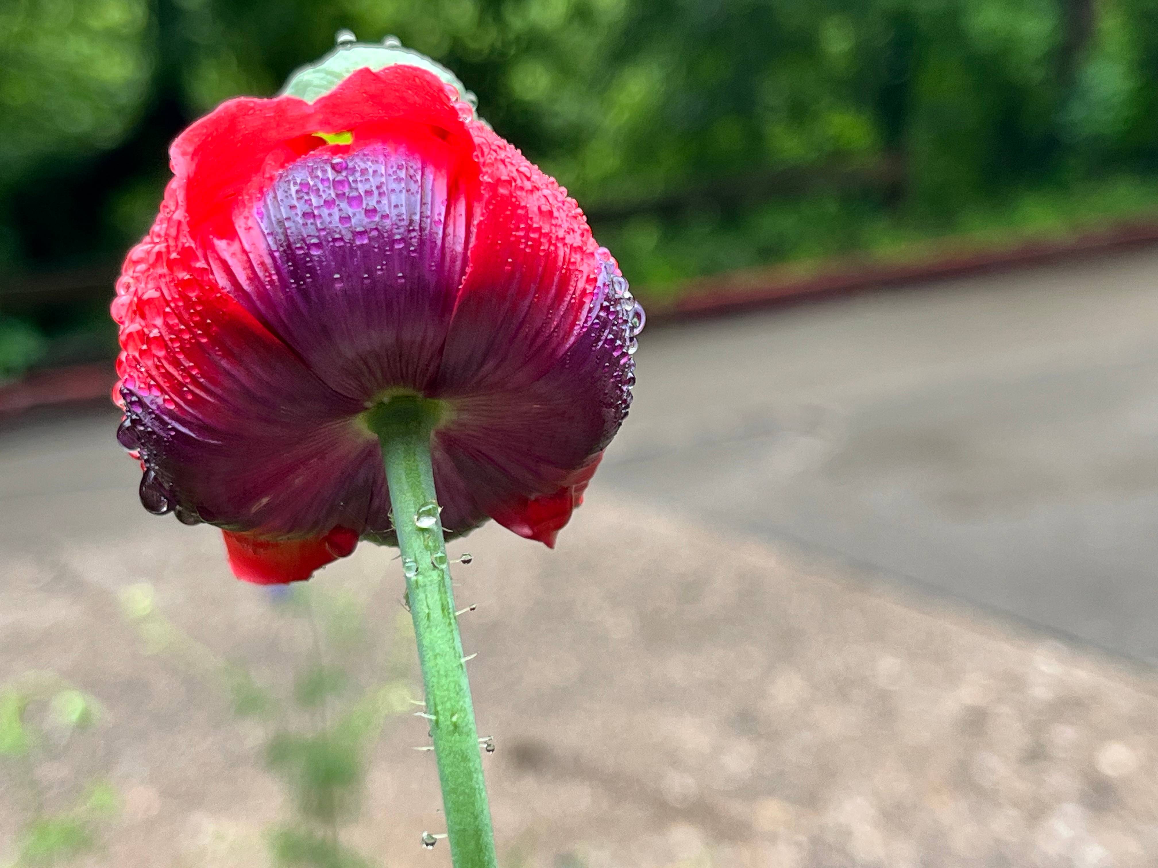 recommendation image